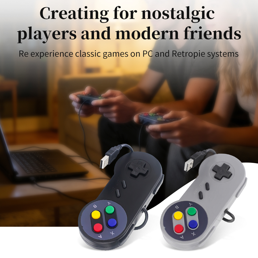 USB Retro Gamepad for PC NESPi - Retro Gaming Windows recensie en prijs